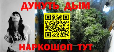 сатива Будённовск