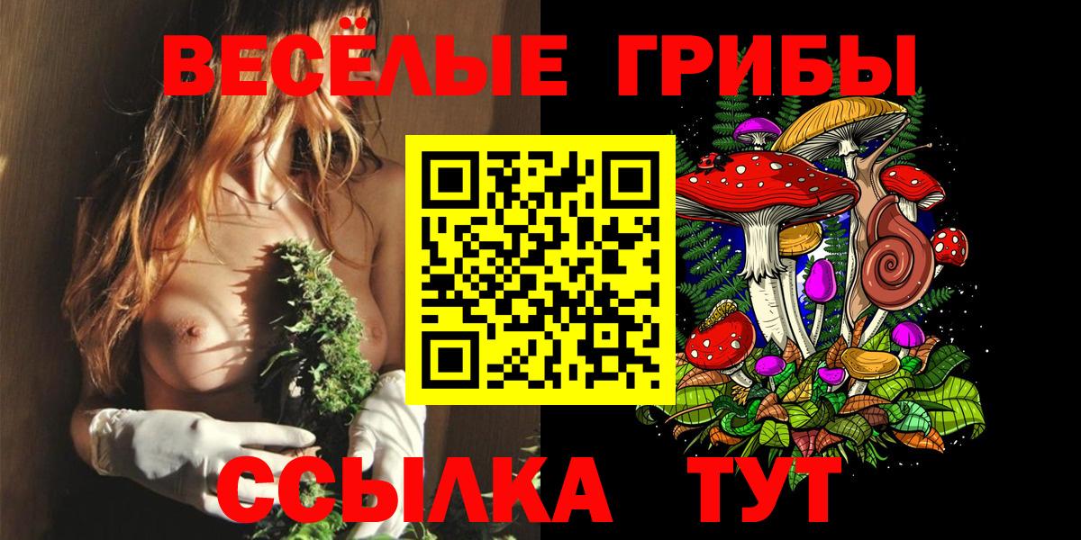 Галлюциногенные грибы MAGIC MUSHROOMS Псков