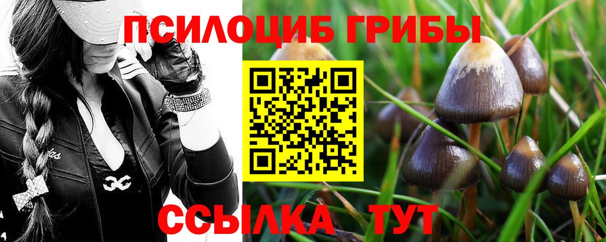 Псилоцибиновые грибы GOLDEN TEACHER  Галлюциногенные грибы Cubensis  где продают наркотики  Вход с VPN  Псков 